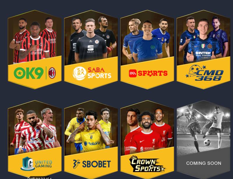 Cá cược thể thao – Bệ phóng của dân cược thực thụ