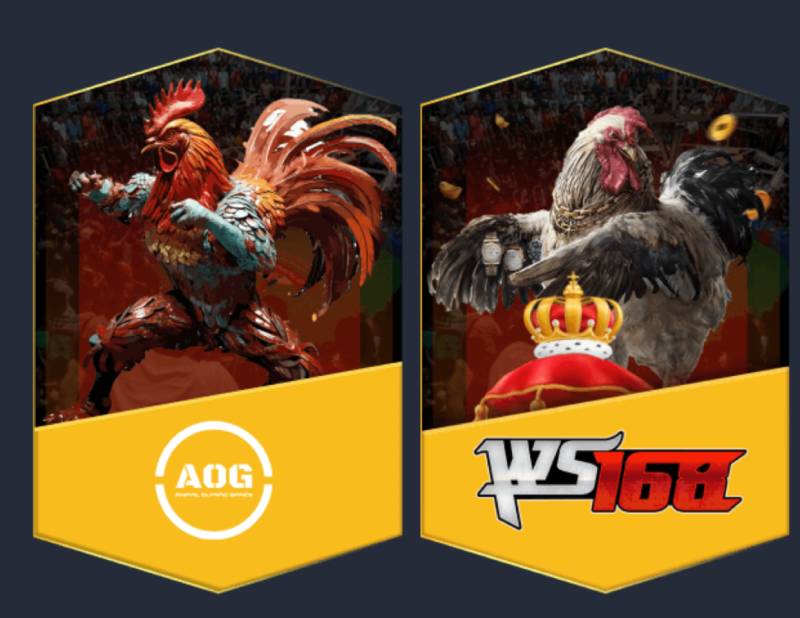 Đá gà trực tuyến – Đậm chất dân chơi miền Nam